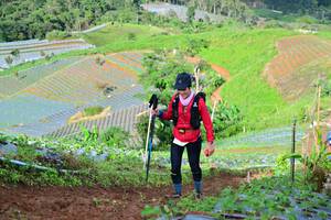 BIB: 
                            <button type="button" onclick="openModal(13382787)" class="btn btn-primary btn-sm float-right btn-popup" data-toggle="modal" data-target=".modal-high-quality">
                        <i class="fas fa-shopping-cart"></i> Add to Cart
                    </button>
                                            <button type="button" onclick="isThisMe(13382787, true)" class="btn btn-success btn-sm float-right btn-popup btn-isme hidden" data-toggle="tooltip" data-placement="bottom" title="นี่คือรูปของคุณใช่ไหม คลิกที่นี่เพื่อเอาเข้าอัลบั้ม">
                        <i class="fas fa-plus"></i> Add to album
                    </button>
                    <button type="button" onclick="isThisMe(13382787, false)" class="btn btn-warning btn-sm float-right btn-popup btn-isnotme hidden">
                        <i class="fas fa-ban"></i> Remove from album
                    </button>